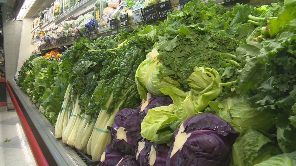 Colorado reports 90 cases of cyclospora this year: Here's what health officials want you to know