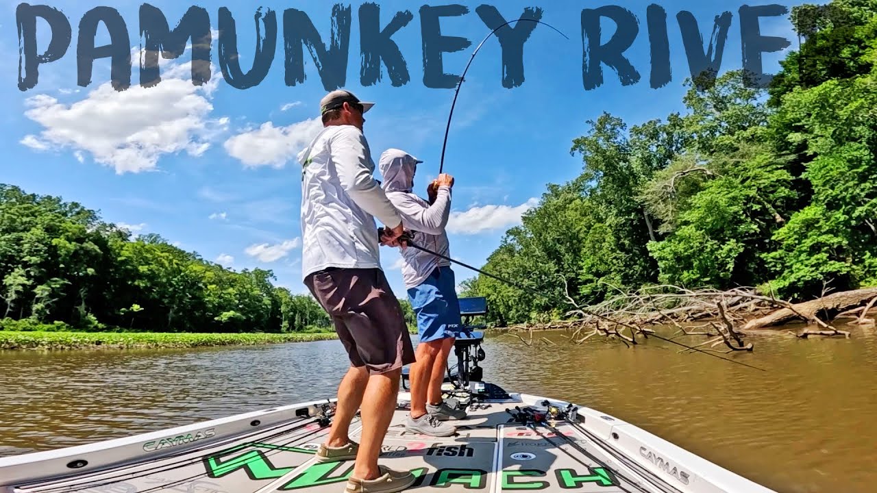 Bass fishing the Pamunkey River tidal waters