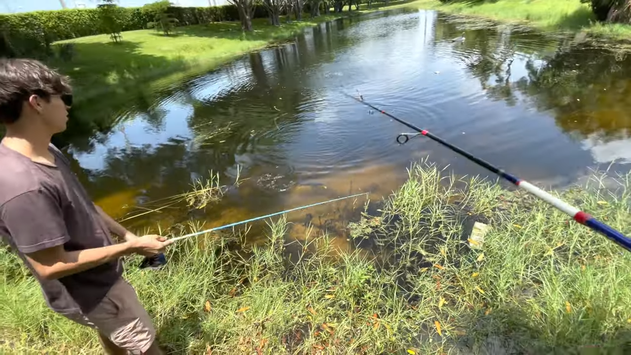 They thought it was just a spot until fish started attacking them