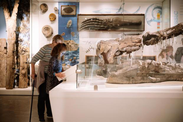 Dorchester museum launches new ticket to remove financial barriers to ...
