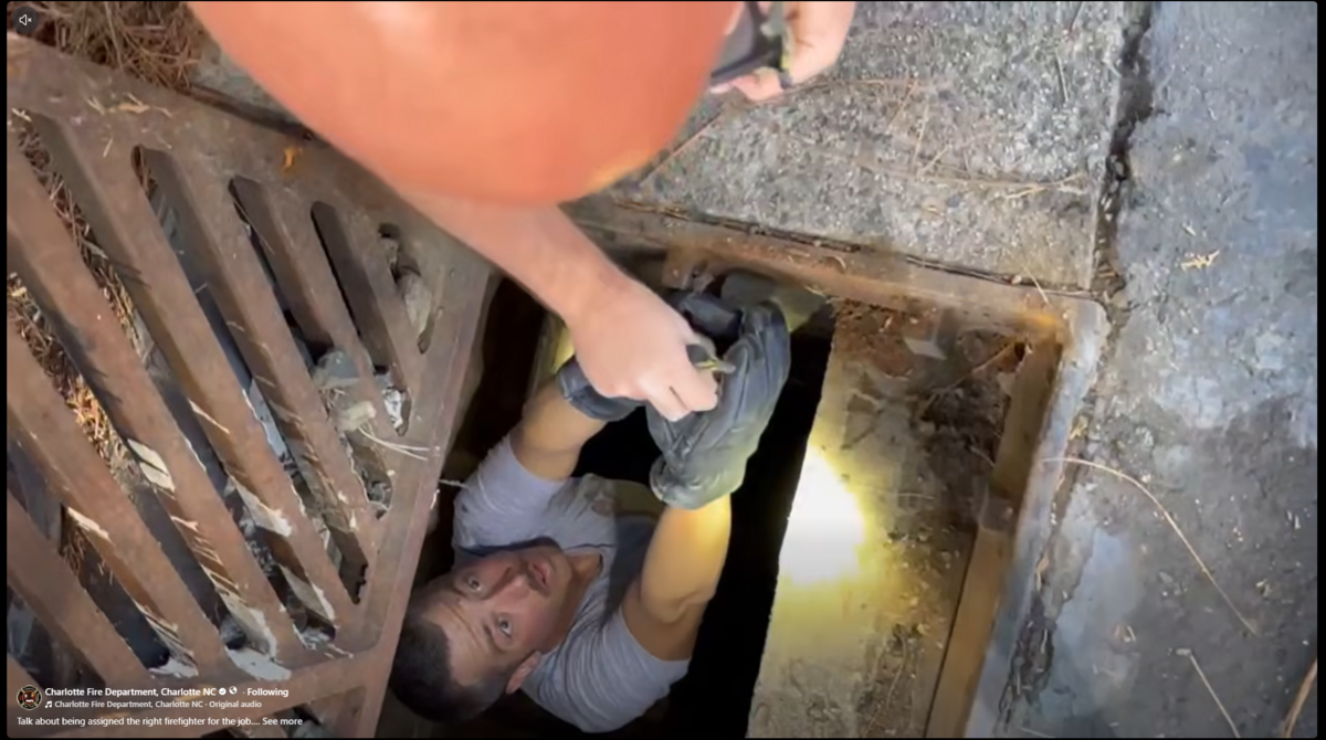 A Charlotte firefighter - last name Duckwall - saved ducklings from a storm drain