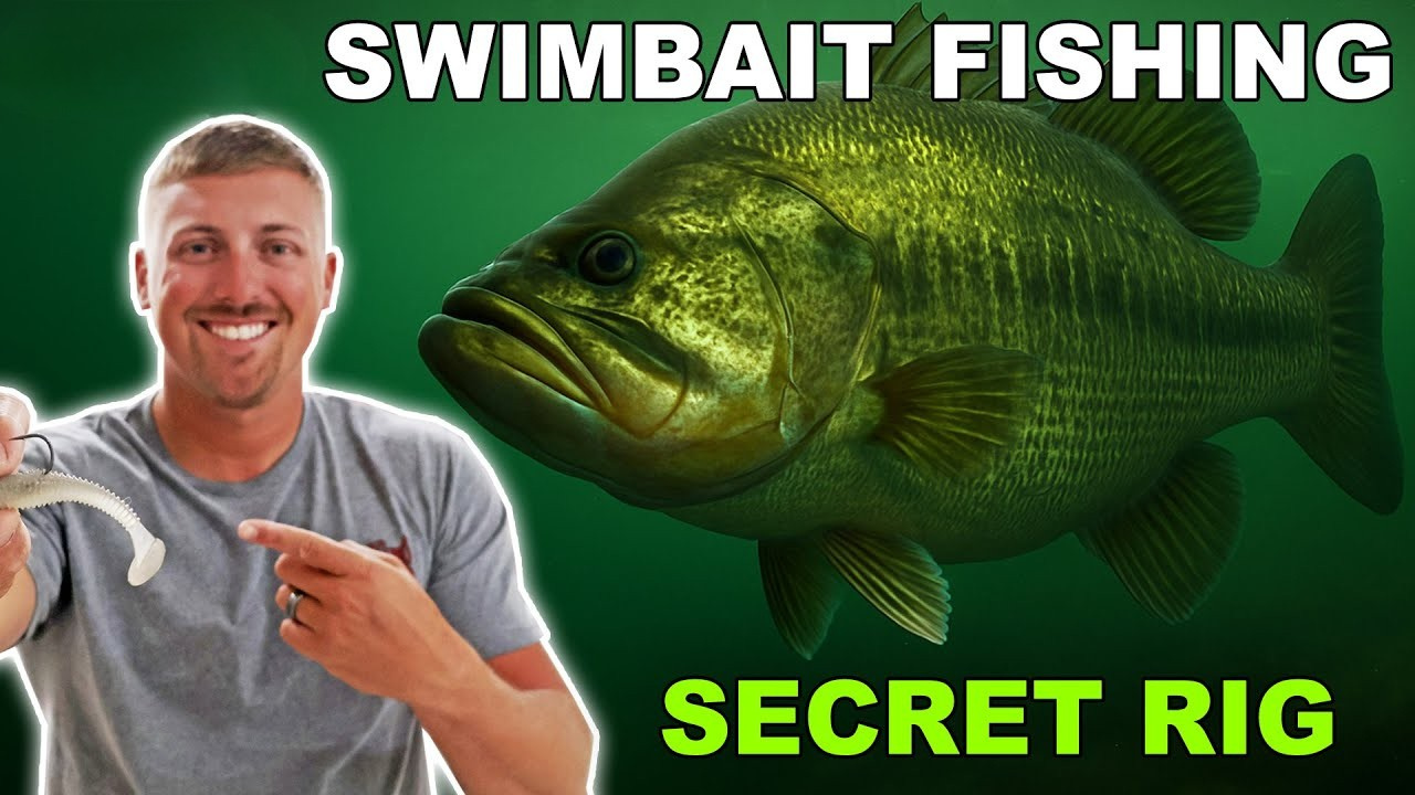 Swimbait rig tips for catching more bass