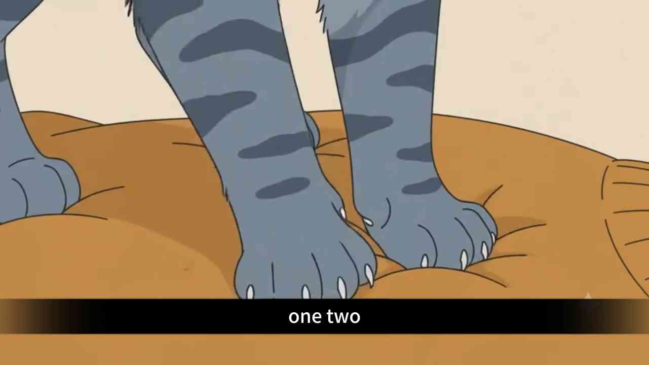 Your cat wakes up before you, but what is it really doing