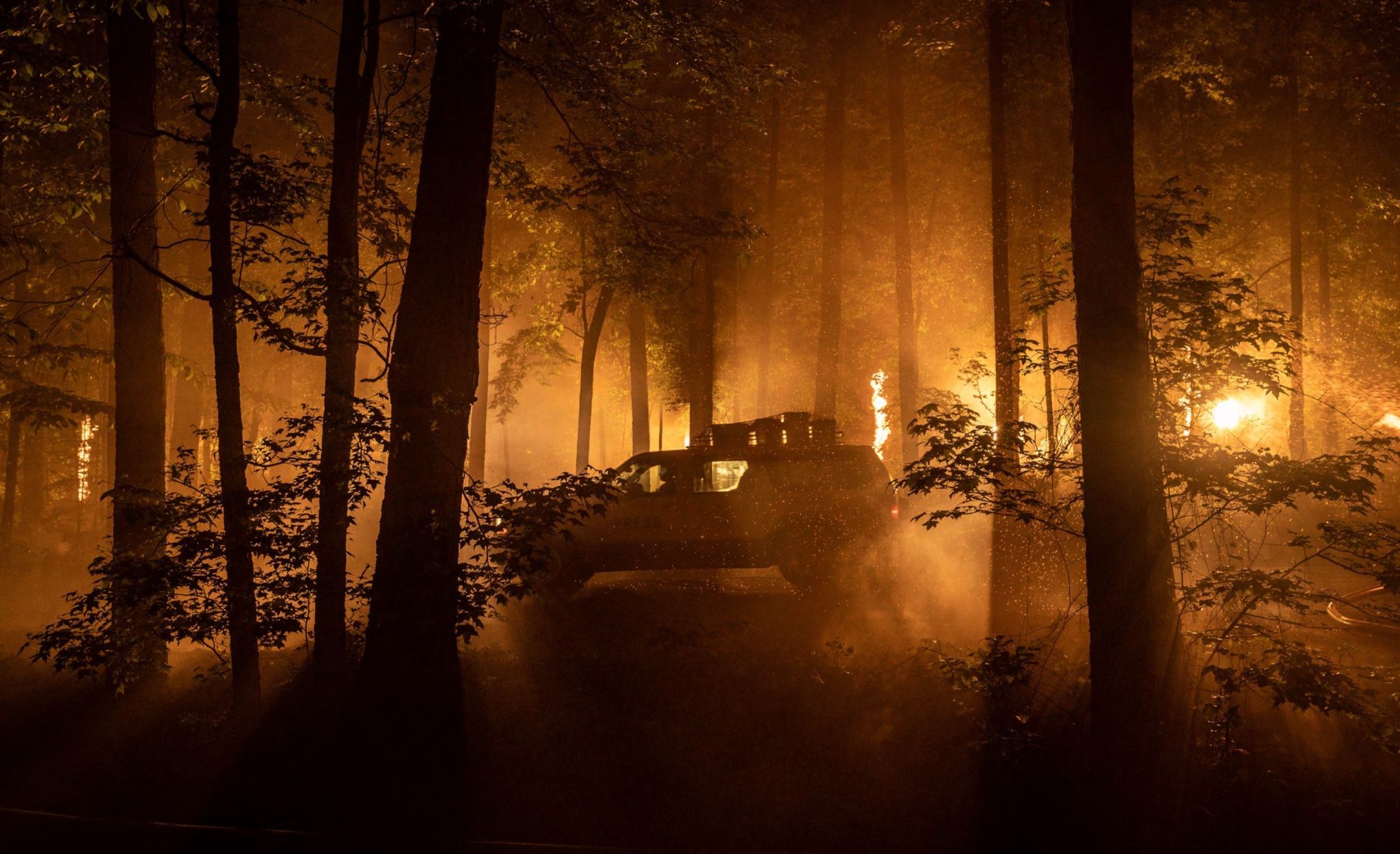 Alex Garland's most polarizing movie is now free to stream — and even more relevant 2 years later