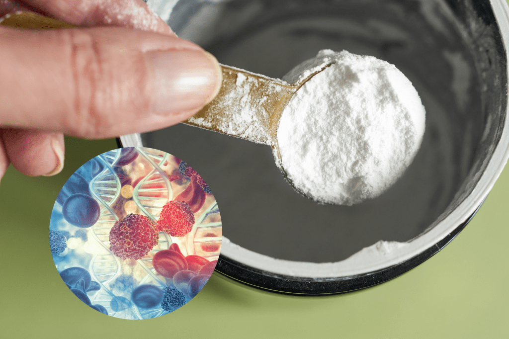 Common gym supplement could help fight cancer
