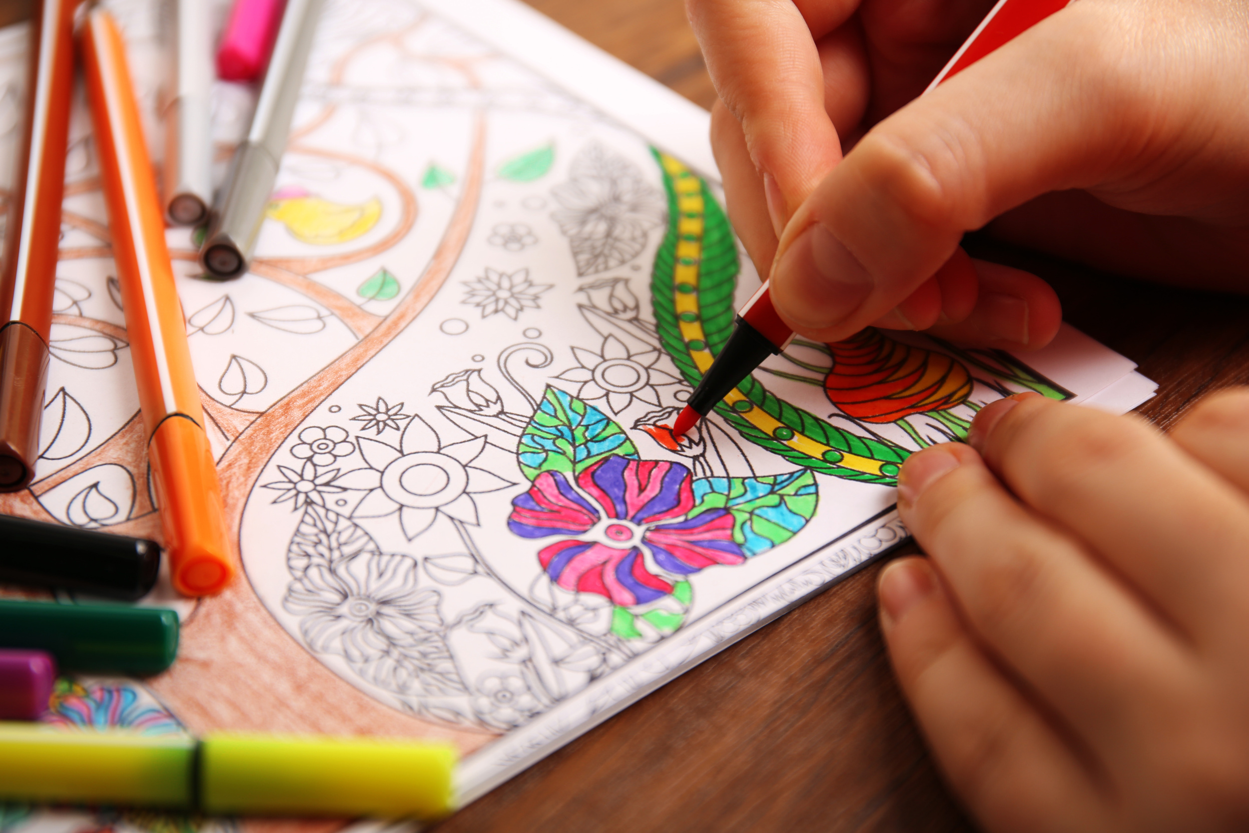 20 inexpensive hobbies that are easy to pick up