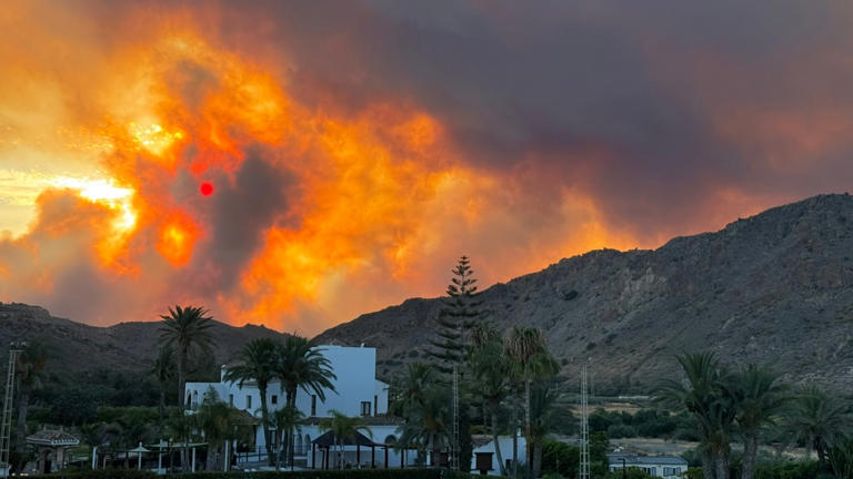 Incendio en Bédar.
