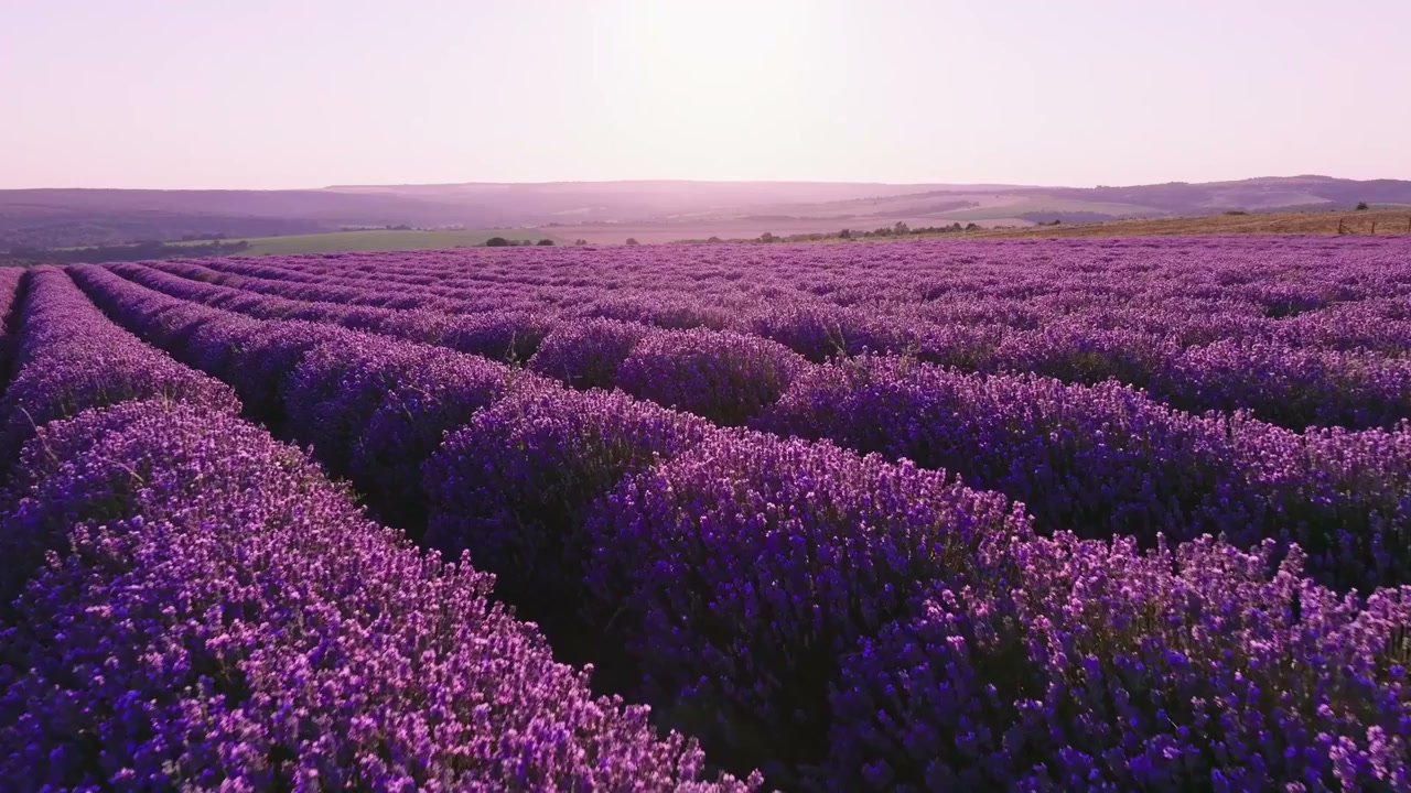 a-bird-s-eye-tour-of-nature-s-finest-views-part-1