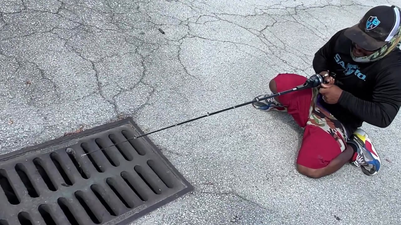 Sewer fish: Myths and realities beneath the streets