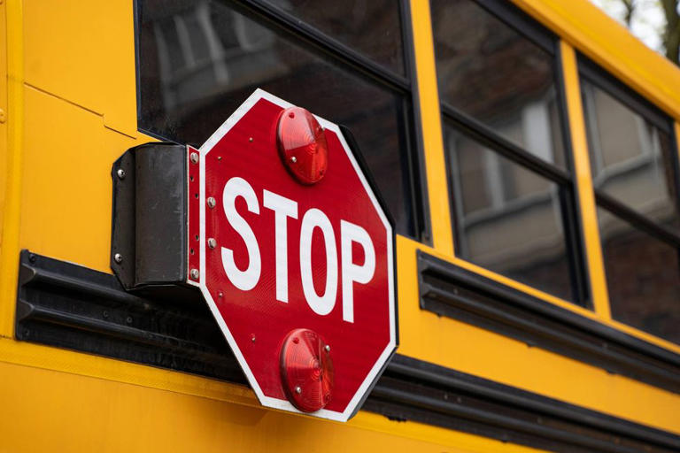 Police: School bus driver blows through red light in Wilmington ...