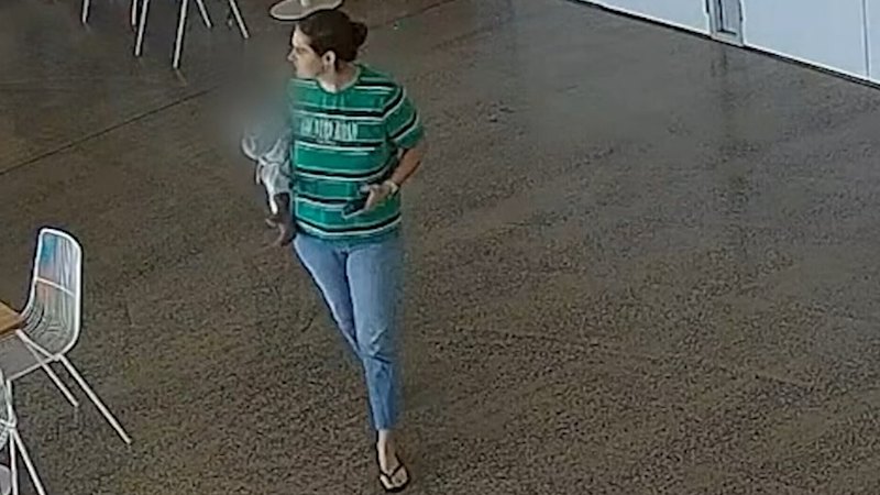 Family's fears after abandoned car is all that's found in search for missing Queensland mum