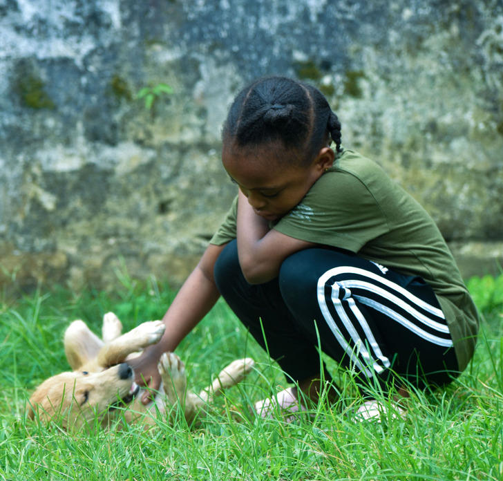 10 acts of animal kindness that remind us compassion is the heart of ...