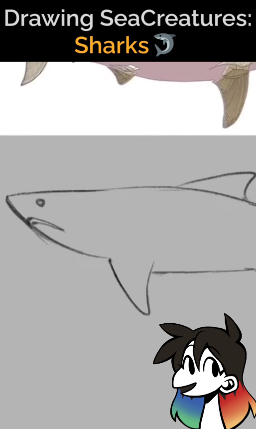 Master Drawing Sharks With Step By Step Sea Creatures Art Tutorial