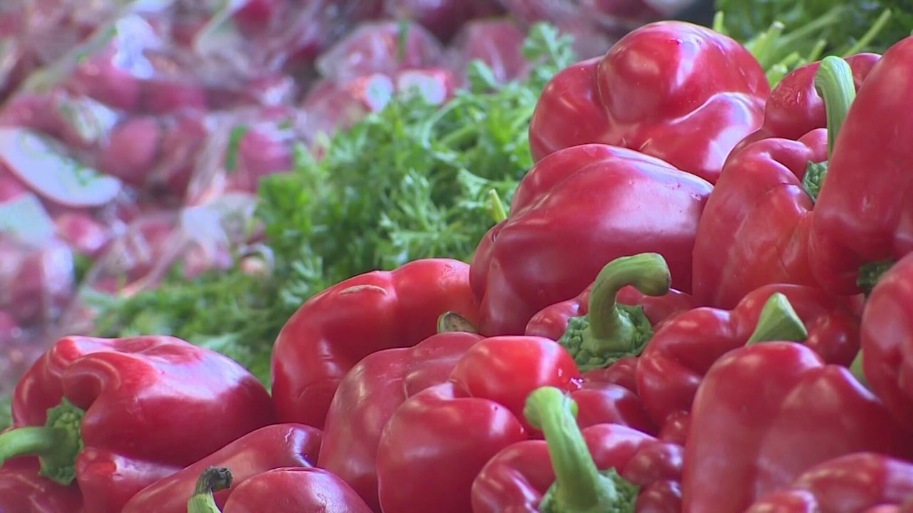 Colorado Reports 90 Cyclospora Cases Amid Multistate Outbreak Investigation