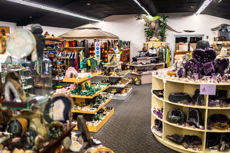 This Texas rock shop is packed floor to ceiling with fossils, crystals ...