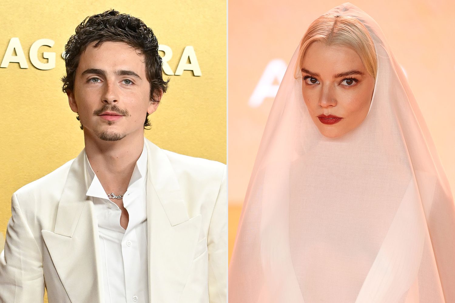 Timothée Chalamet calls “Dune: Part Three” costar Anya Taylor-Joy ‘terrifying and amazing’: ‘Not media hyperbole’