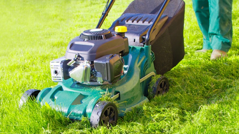 Are Mulching Mowers Worth It? Here's What Users Are Saying