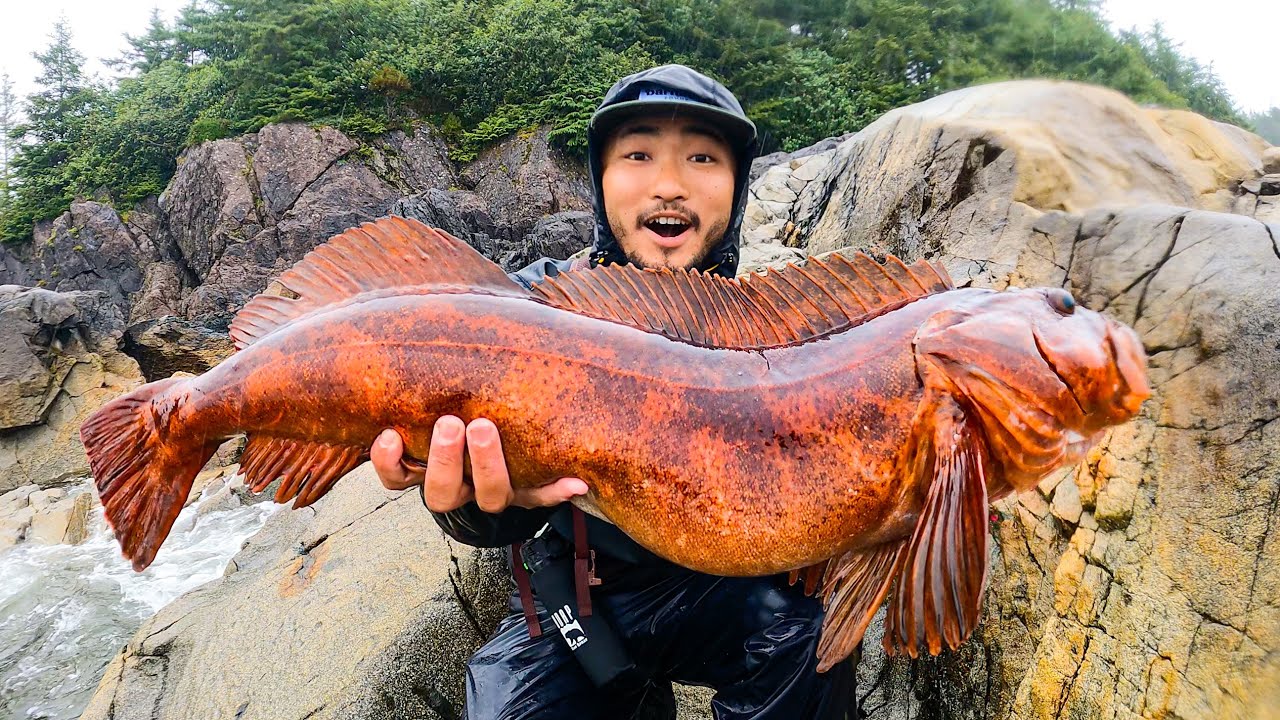 Alaska's epic foraging adventure