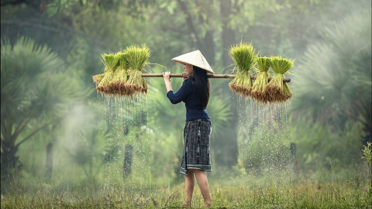 Petani Milenial Indonesia Adopsi Drone dan IoT untuk Pertanian Presisi