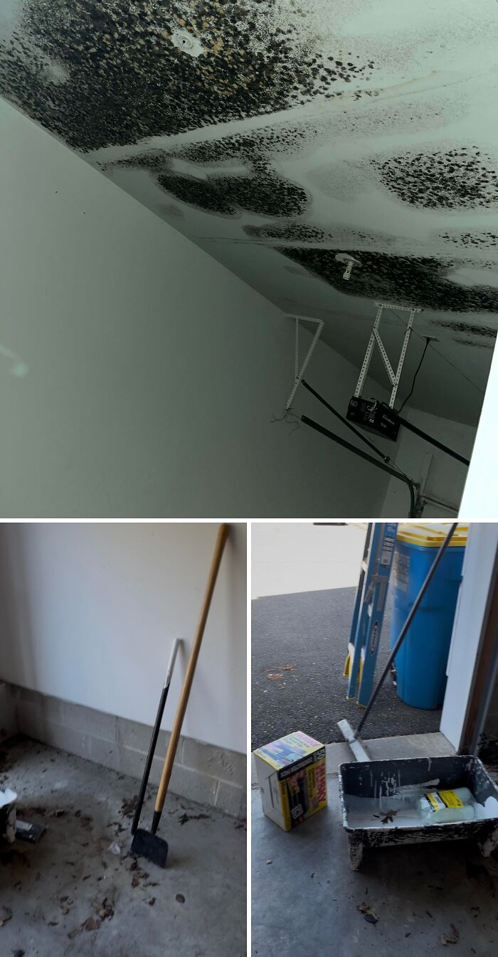 68 Terrible Landlord Stories That Show How Bad Renting Can Get