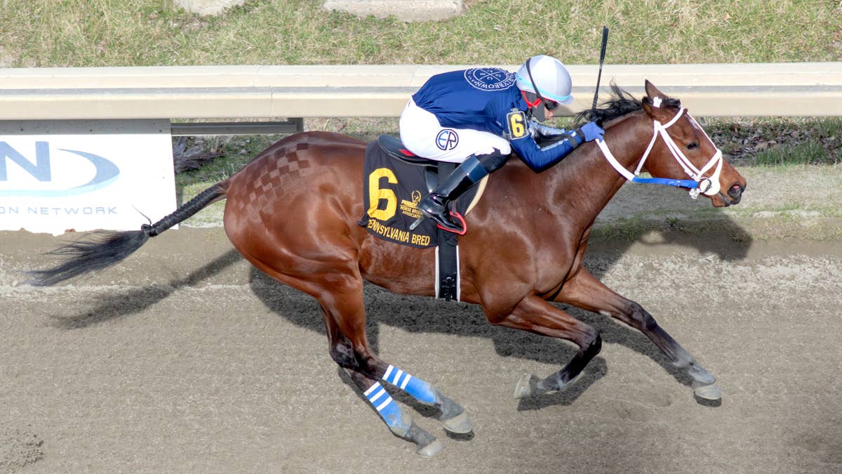 Pennsylvania leaderboard: Uptowncharlybrown stud once again pacing stallion owners
