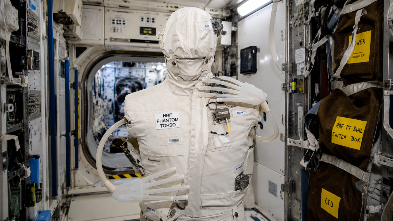 The fake human body NASA secretly launched into orbit to study radiation