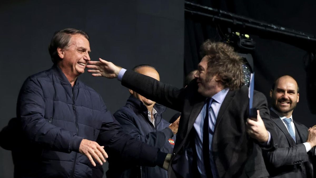 Milei viajará a Brasil para respaldar la candidatura de Flavio ...
