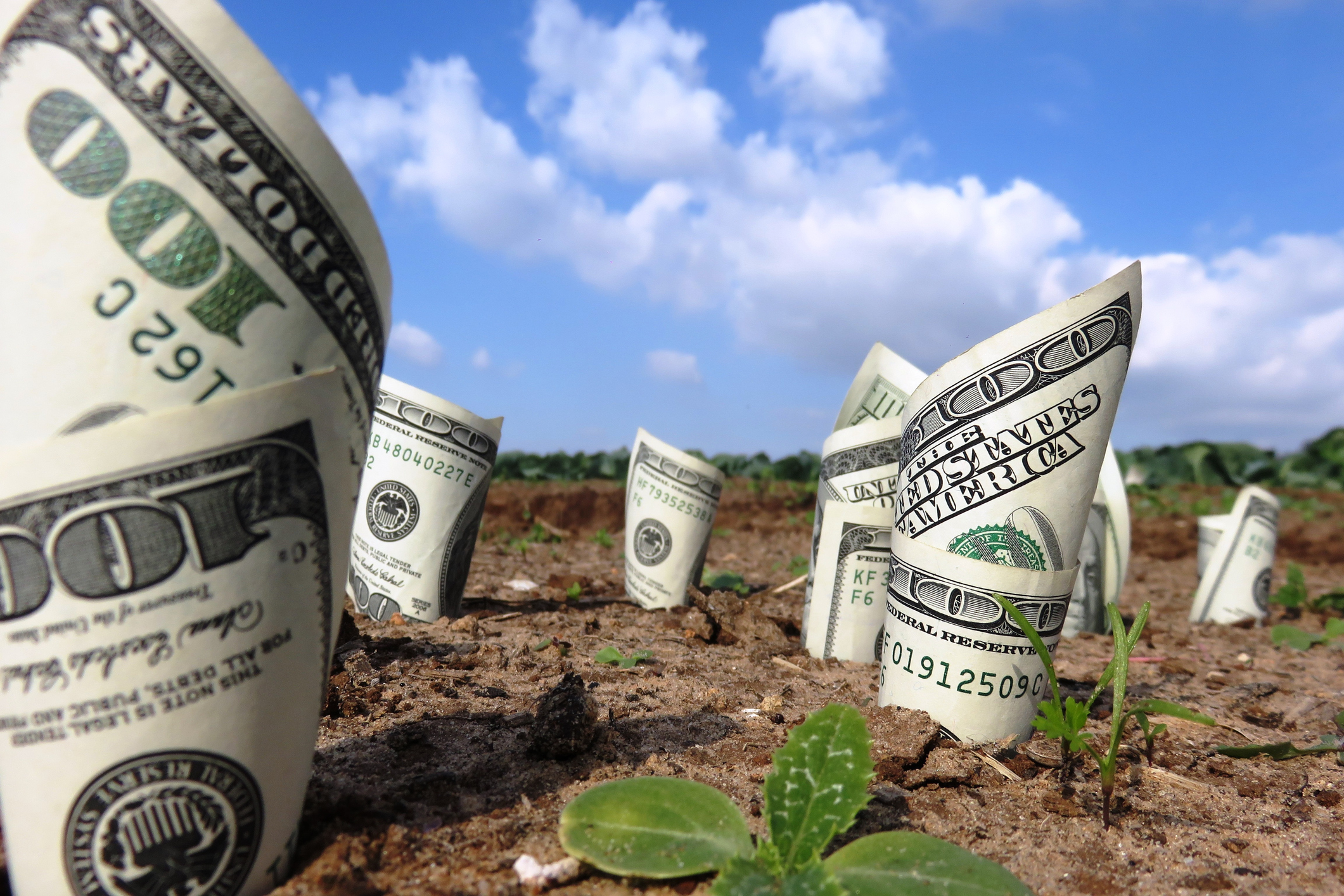 3 top dividend stocks to buy right now -- with dividend yields above 5%