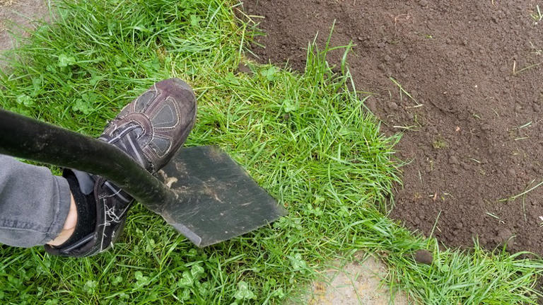 Ditch the pricey edgers: Use a cheaper tool that's already in your shed