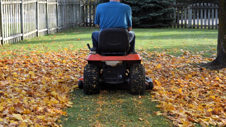 Are Mulching Mowers Worth It? Here's What Users Are Saying