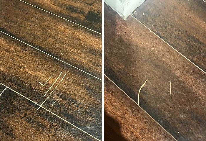 68 Terrible Landlord Stories That Show How Bad Renting Can Get