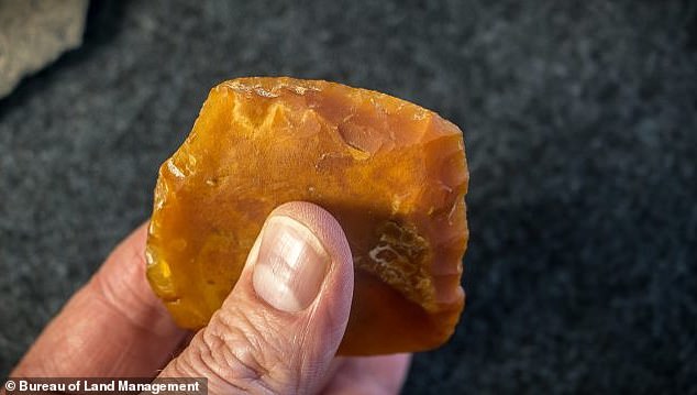 The team found two stone tools at the rock shelter