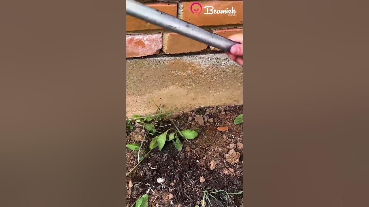 DIY two pronged weeding tool #easy #weeding #tooltrick