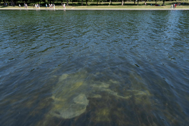 Crews are draining the Lincoln Memorial Reflecting Pool again as part ...