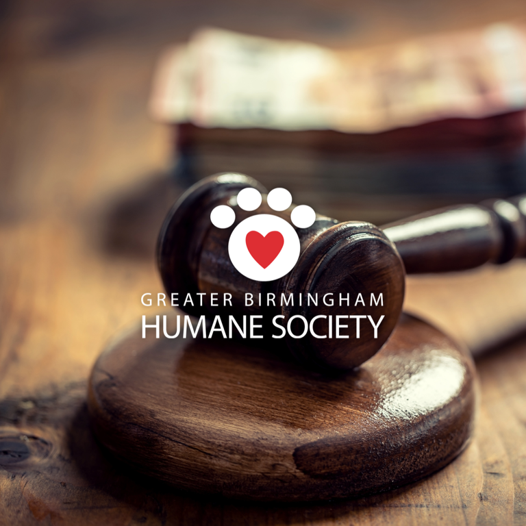 Humane society sues over Nebius data center in Oxmoor Valley