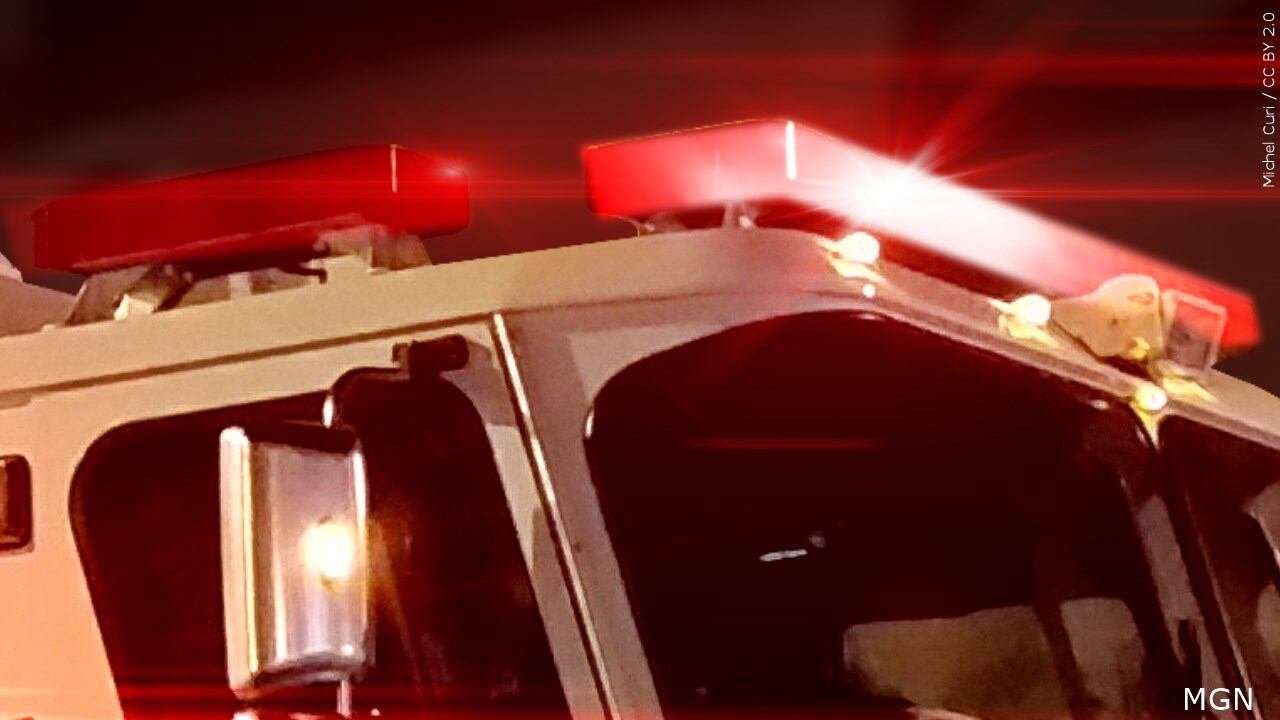 Fire crews contain 25-acre wildfire in Loris