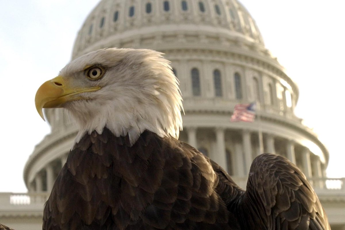Trump administration rescinds key rule protecting endangered wildlife
