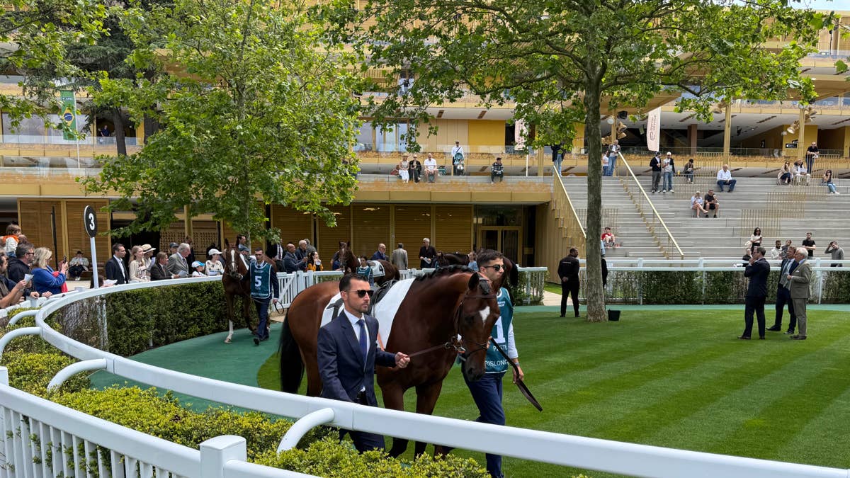A horseplayer in Paris: Notes from a man who couldn't cash a single bet