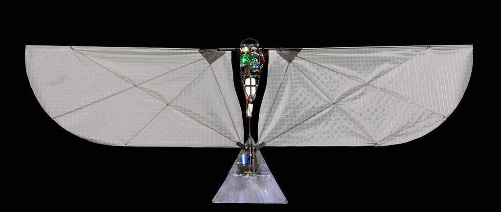 This new robot is able to mock birds that are able to also swim underwater. Credit: MIT
