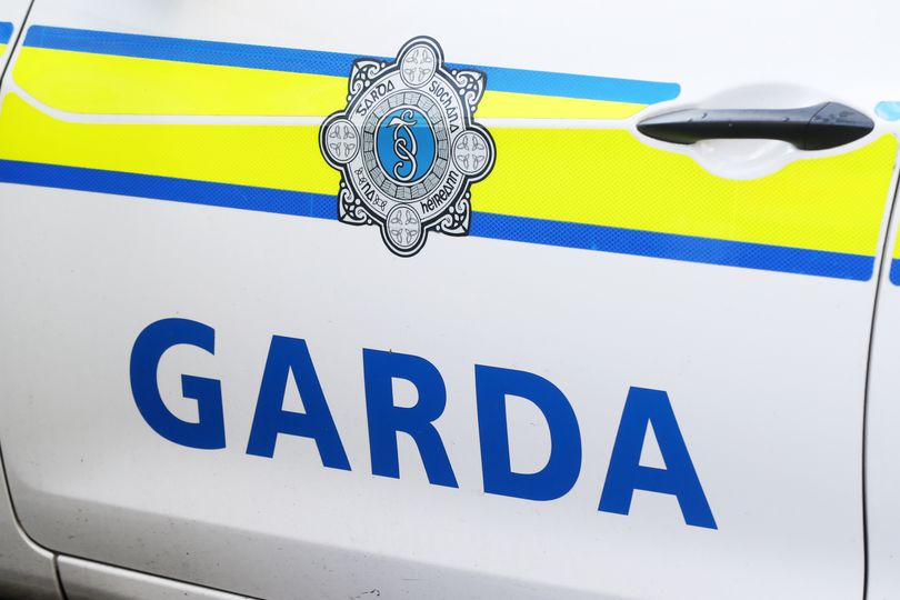 Man killed in crash involving truck and car as Gardai issue witness appeal