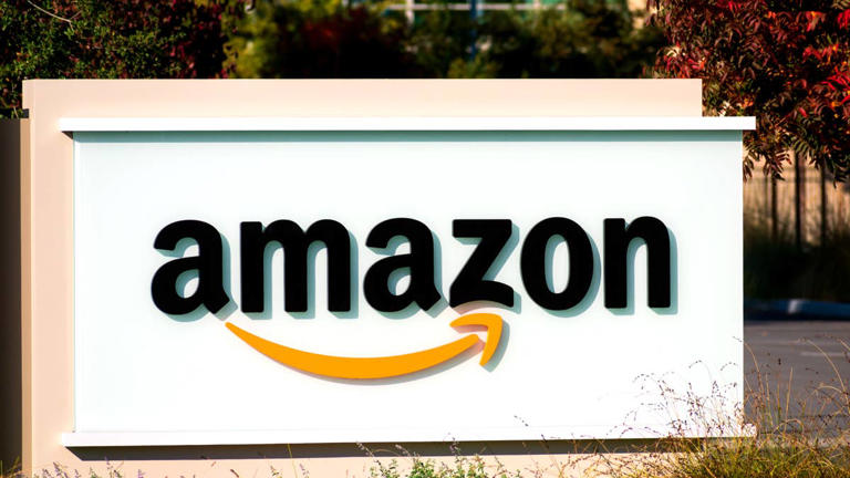 Amazon's 'sturdy and safe' cat window perch is just $22 — 'my cats ...