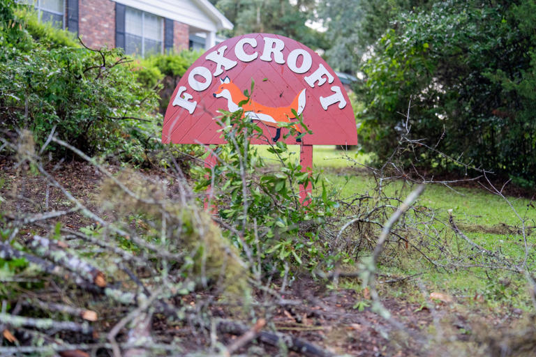 Sudden Tallahassee severe storm topples tree into car, kills two people