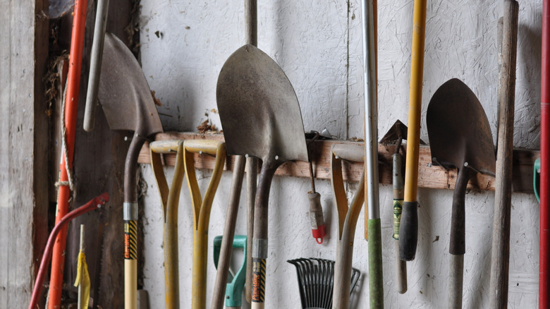 Ditch the wall hooks: The easy DIY for cheaper and sturdier shed tool ...