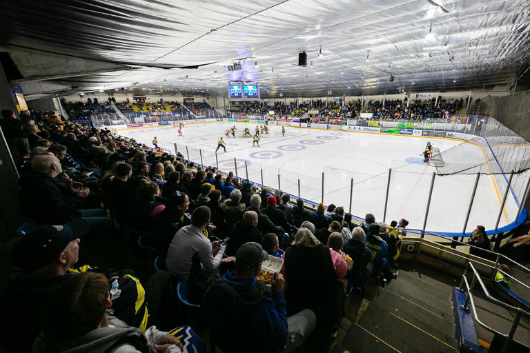 Fife Flyers add new import defenceman as roster rebuild continues