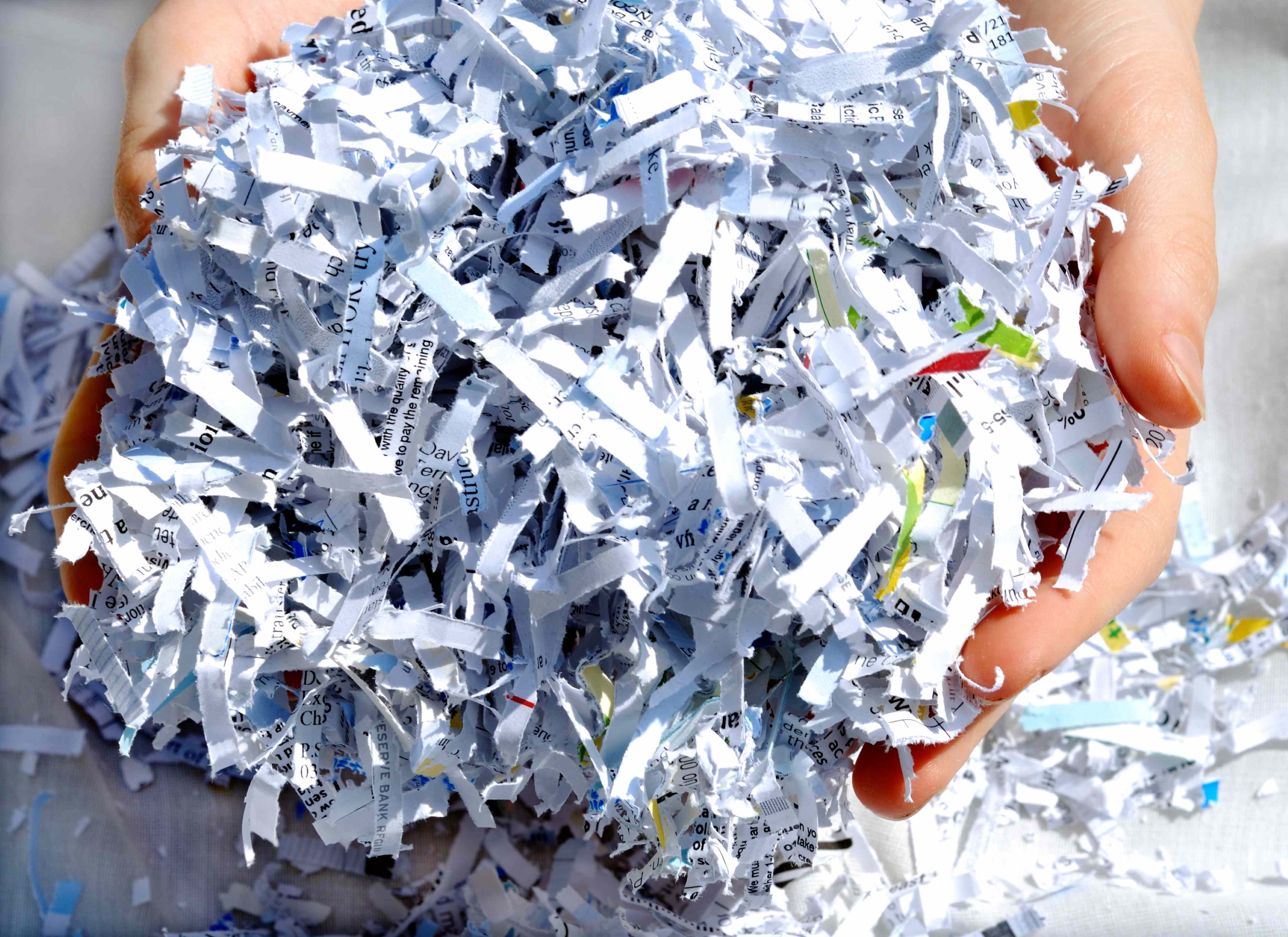 Can you use shredded paper as mulch? 4 tips gardeners should know