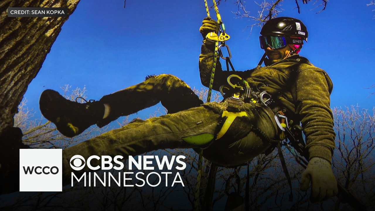 Minnesota tree cutter recovering after falling 20 feet during work incident