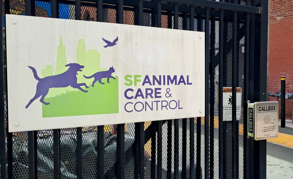 San Francisco Animal Care and Control offers free supplies to ease ...