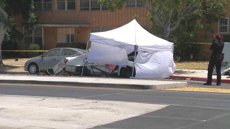 2 dead, child critically injured in Los Angeles neighborhood crash