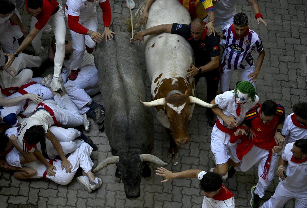 Runner gored in face as bulls charged through thrill-seeking crowds ...