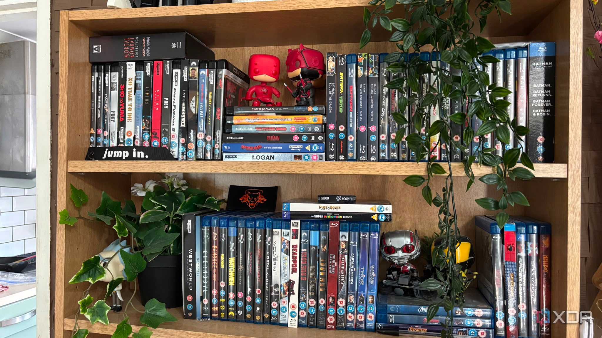 physical media blu-ray shelf with a range of movies, plants and figures